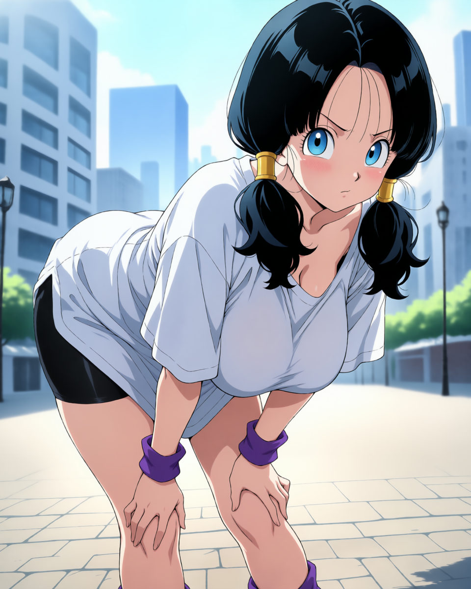 videl, image 11 of 20